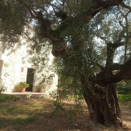 Olive Trees Βίλα Τραγάκι Εξωτερικό φωτογραφία