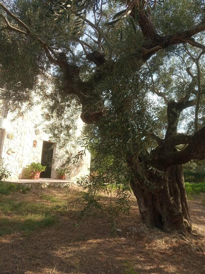 Olive Trees Βίλα Τραγάκι Εξωτερικό φωτογραφία