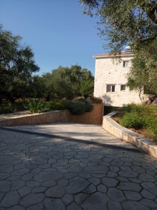 Olive Trees Βίλα Τραγάκι Εξωτερικό φωτογραφία